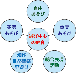 「体育あそび」「遊び中心の教育」「畑作・自然観察・野遊び」「総合表現活動」