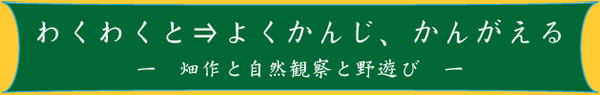わくわくと→よくかんじ、かんがえる -畑作と自然観察と野遊び-